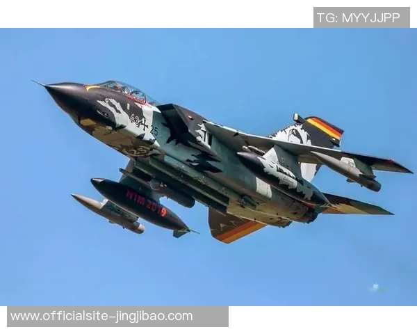 南京与杭州极限运动队对决赛后分析力量对比与战术探讨